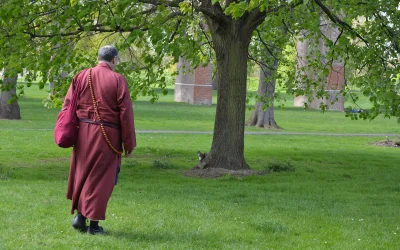 Why You Need To Incorporate Mindful Walking