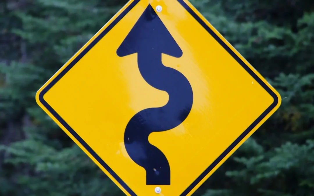 Decoding Your Life’s Blueprint: A Roadmap to Success and Fulfillment