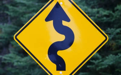 Decoding Your Life’s Blueprint: A Roadmap to Success and Fulfillment