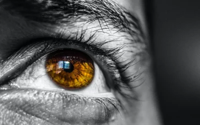 Building Your Vision: The Key to Unlocking Confidence and Purpose